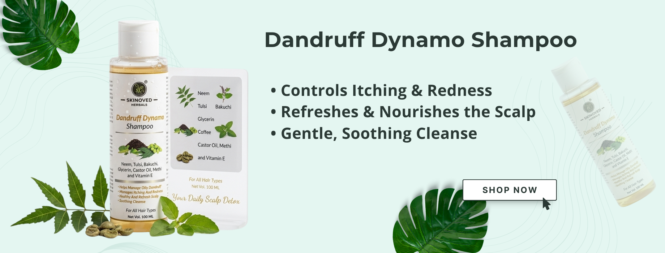 Dandruff Dynamo Shampoo Banner (1)
